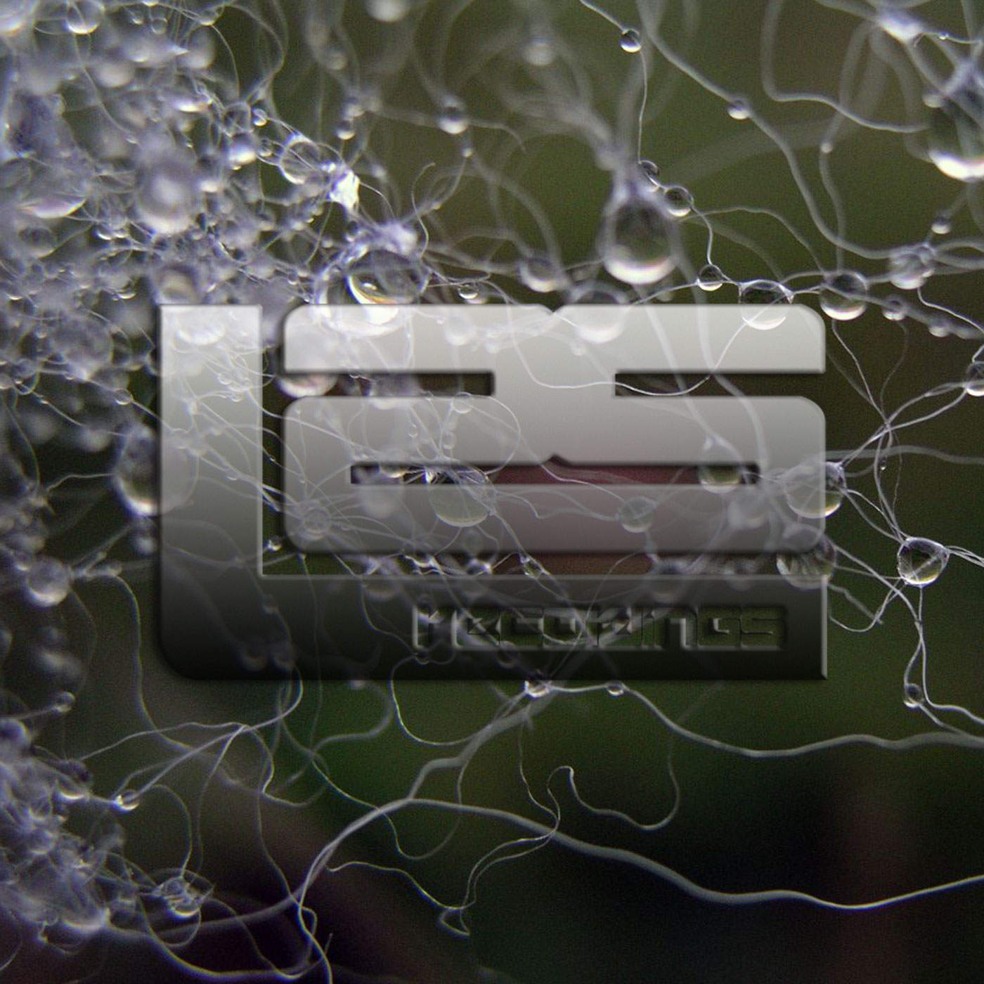 L2S086: BunZer0 - Wet Wool
